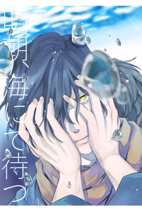 明朝、海にて待つ