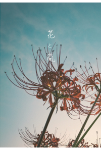 花と嵐