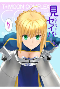 見えてますよセイバーさん