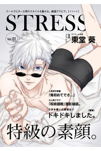STRESS-ストレス-