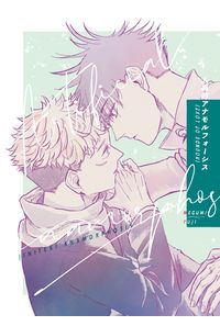 人為的アナモルフォーシス