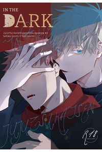 IN THE DARK