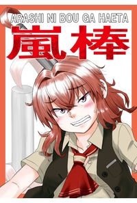 嵐棒