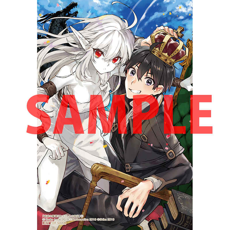 マサドラ 虎穴 商品详细破滅の魔導王とゴーレムの蛮妃 VOL.2